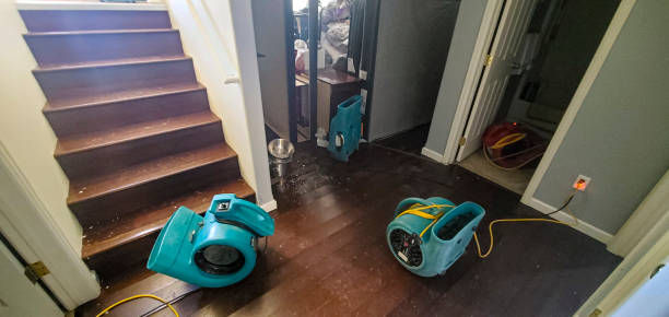 Best Professional water damage repair  in Boling, TX