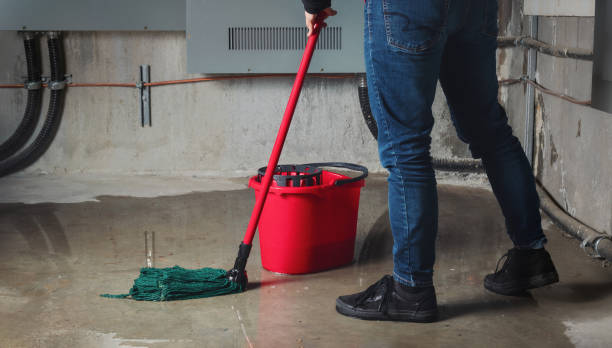 Best Fire Damage Restoration  in Boling, TX