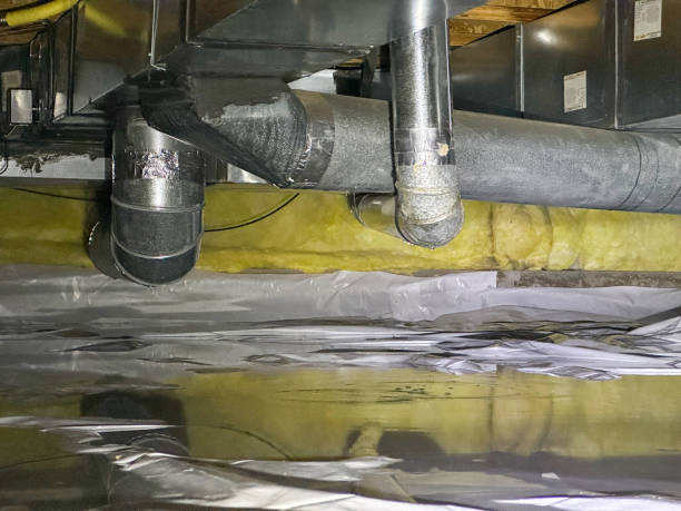 Best Carpet water damage restoration  in Boling, TX