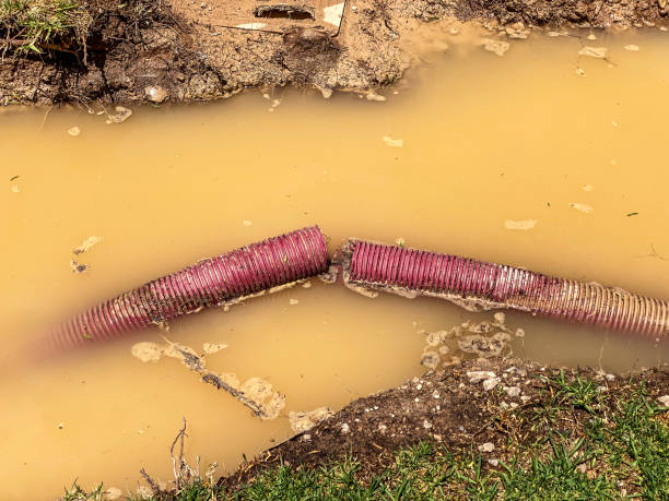 Best Water damage restoration cost  in Boling, TX